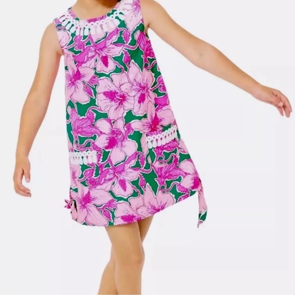 Lilly Pulitzer Other - Lilly Pulitzer Pink and Green Floral Shift Dress